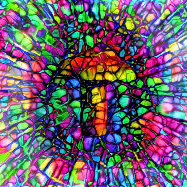 Colorful Mushroom by Bruce Rolff